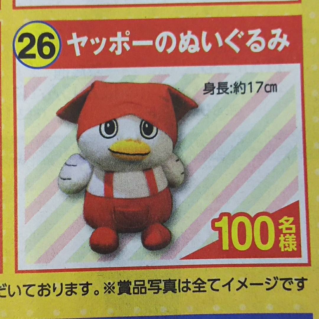 お客様感謝キャンペーンやってます✨ | やおこの日常❤️